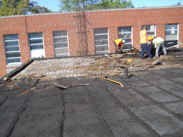 Cost Efficient Roofing